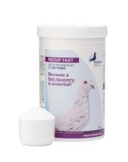 Recup Fast Powder 250 Grams / 500 Grams